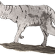 Illustration for article titled Coyote-Wolf Hybrids Have Invaded Washington, DC